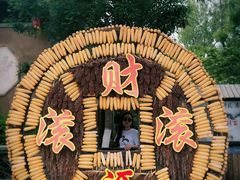 -梨木台悦来客农家院