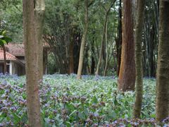 -广州市白云山风景名胜区