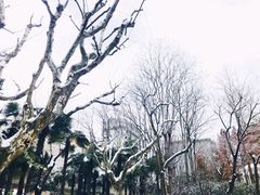 -苏州河梦清园环保主题公园