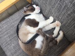 -黎黄陂路街头博物馆