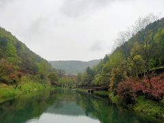 -桃花岭景区