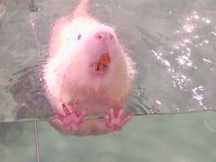 -正佳雨林生态植物园