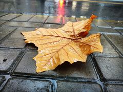 -玲珑汤泉生活会馆(花桥店)