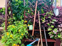 -浙江安吉JW万豪酒店·万豪中餐厅