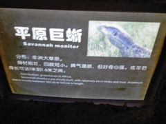 -南昌海洋公园
