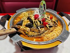 -南锣肥猫·麻辣烤鱼·16年现烤现卖(财富购物中心店)