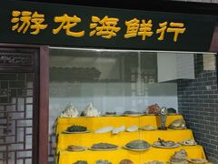 -游龙石文化科普馆