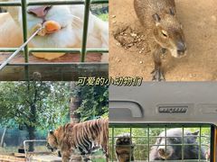 -郑州银基国际旅游度假区