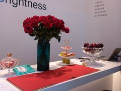 -南宁国际会展中心(会展东博文化旅游区)