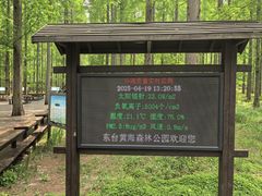 -黄海国家森林公园