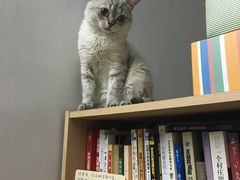 -立德动物医院·异宠·CT·鹦鹉(天河店)