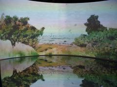 -印象莫奈时光映迹艺术展