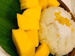 -GOGO Plate(成都太古里店)