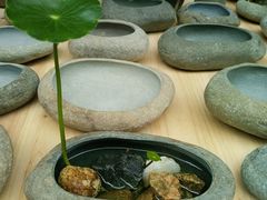 -屯溪老街