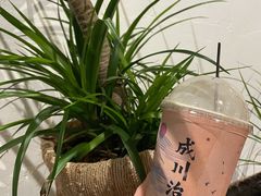 -成川茶店·潮汕工夫浓茶(万象店)