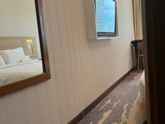 -希迪特谷中城酒店