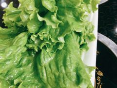 生菜-蒙星月涮肚火锅城(宏运家园店)