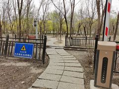 -西青郊野公园