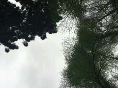 -华南国家植物园-售票处