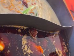 -赵美丽·重庆社区火锅·直营店(火车东站·中豪国际店)