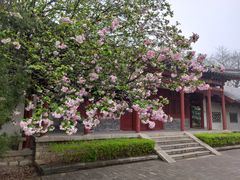 -济南南郊宾馆