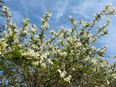 -天台山赤城山景区