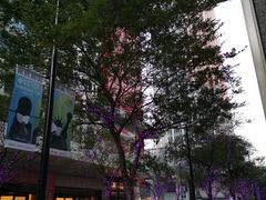 -诚品(信义店)