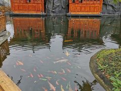 -九尺赵老四鲜鹅肠火锅