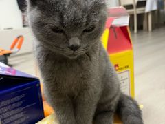 -安安宠医·臻爱宠物医院·宠保定点(营门口路分院)