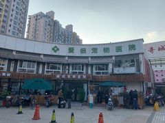 -爱侣宠医·鹦鹉专科·小型哺乳类·异宠专科(灵石路店)