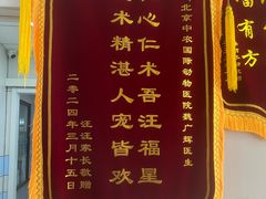 -中农国际动物医院24小时·猫科·骨科·急重症中心