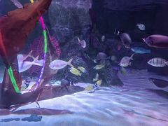 -沈阳海洋探索中心