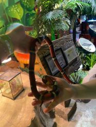 -酷嗒动物文化乐园(cutezoo西溪乐天城店)