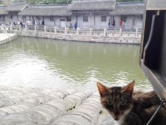 -逢源酒楼(东大街店)