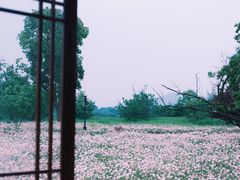 -良渚古城遗址公园