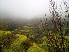-灵山景区梯田