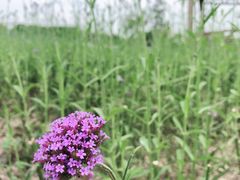 -杭州城北体育公园