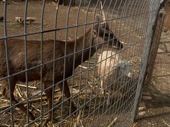 -北京山里寒舍度假酒店