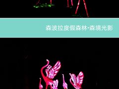 -佛冈森波拉度假区