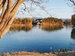 -西溪国家湿地公园