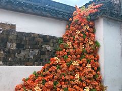 -青果巷历史文化街区