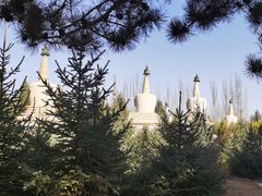 -凉州白塔寺景区