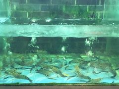 -渔米粥(罗湖店)