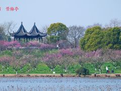-上海海湾国家森林公园