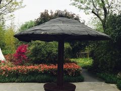 -杭州城北体育公园