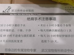 -伟伟宠物医院·CT影像中心·瑞派犬猫综合性门诊(汉口总院)