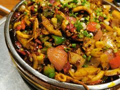 干锅鱿鱼-老号尤兔头(幸福店)