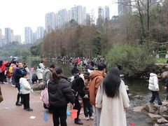 -重庆彩云湖湿地公园