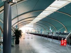 -龙阳路磁悬浮列车总站-停车场