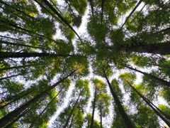-山王坪喀斯特国家生态公园